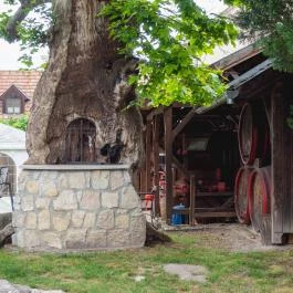 Edvy Malom Fogadó és Barokk Udvarház Pápa - Medence/kert