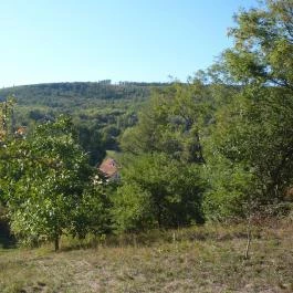 Óhuta Nyaraló Parád - Egyéb