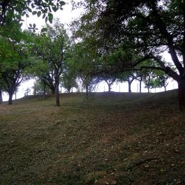 Sósréti Vendégház Parád - Egyéb