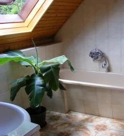 No.1 Kávézó & Étterem