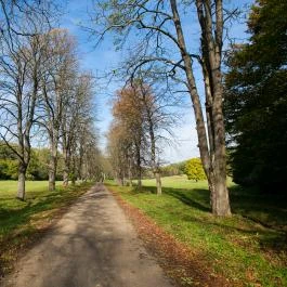 Boróka Panzió Parádfürdő - Egyéb