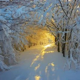 Boróka Panzió Parádfürdő - Egyéb