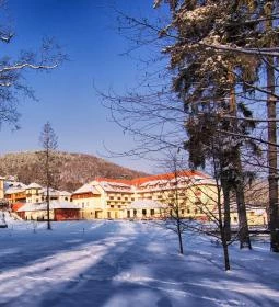 Erzsébet Park Hotel