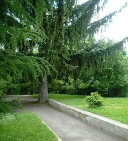 Muskátli Vendégfogadó