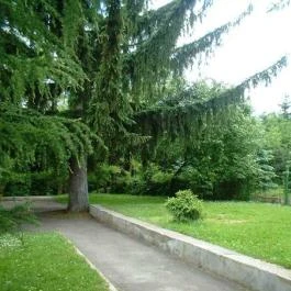 Muskátli Vendégfogadó Parádfürdő - Egyéb