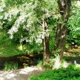 Muskátli Vendégfogadó Parádfürdő - Egyéb