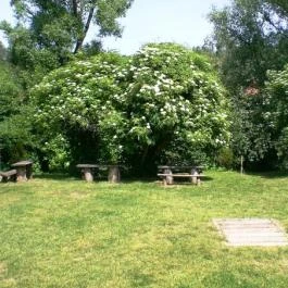 Muskátli Vendégfogadó Parádfürdő - Egyéb