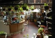 Fészek Csárda Páty