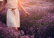 Páty - Pátyi Levendulás Kert