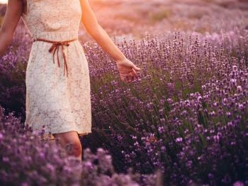 Pátyi Levendulás Kert Páty