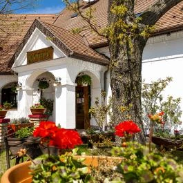 Gastland M1 Hotel Páty - Egyéb