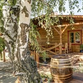 Csülök Bár Pécs - Egyéb