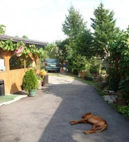 Éger-völgyi Teca Mama Kisvendéglője