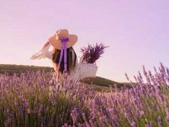 Magyari Levendula Pécs