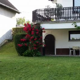 Arató Vendégház Pécs - Egyéb