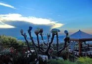 Bagolyvár Panzió Pécs