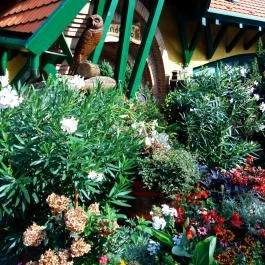 Bagolyvár Panzió Pécs - Vendéglátás