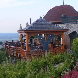 Bagolyvár Panzió Pécs - Vendéglátás