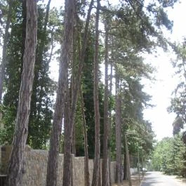 Berg Toboz Panzió Pécs - Környék