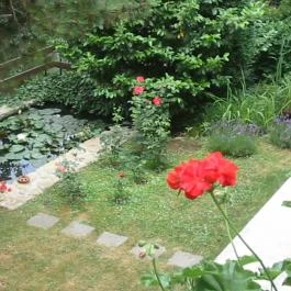 Berg Toboz Panzió Pécs - Medence/kert