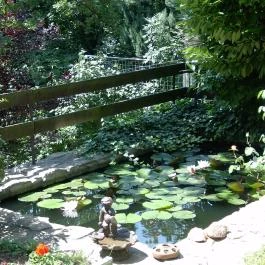 Berg Toboz Panzió Pécs - Medence/kert