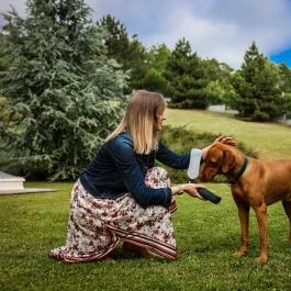 Sándor Hotel Pécs - Medence/kert
