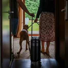 Sándor Hotel Pécs - Medence/kert