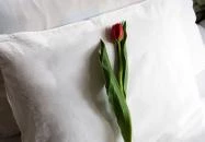 Kálvária-Rácz Panzió Pécs Kálvária-Rácz Panzió Pécs