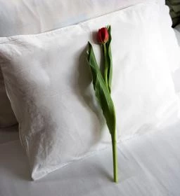 Kálvária-Rácz Panzió