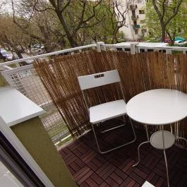 Kőrösi Apartman Pécs - Medence/kert