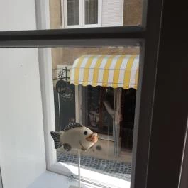 Marilyn City Center Apartman Pécs - Egyéb