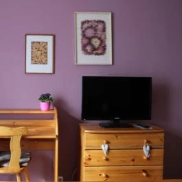 Szabadság Apartman Pécs - Egyéb