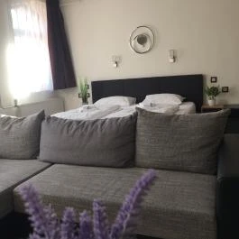 Vulkán Wellness Panzió Pécs - Egyéb