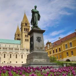 Szepessy Ignác szobra Pécs - Egyéb