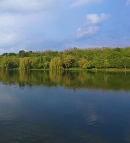 Malomvölgyi-tavak és parkerdő