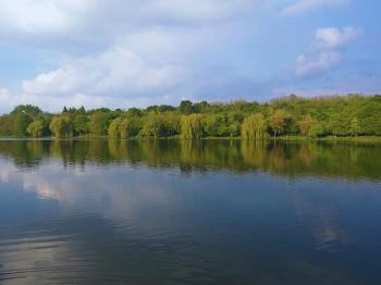 Malomvölgyi-tavak és parkerdő Pécs