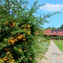 Sipito Pihenőpark Pilis - Külső kép