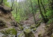 Pilisszentkereszt - Dera-szurdok