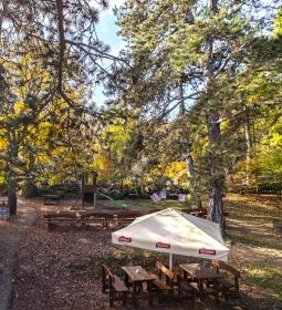 Kis Rigó Vendéglő