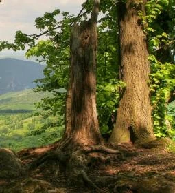 Duna–Ipoly Nemzeti Park