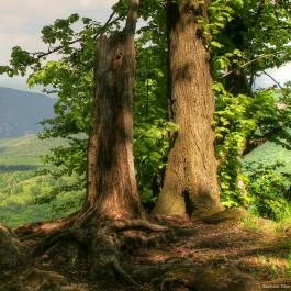 Duna–Ipoly Nemzeti Park Pilisszentlászló - Egyéb