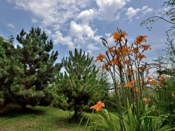 Jázmin Vendégház Pogány