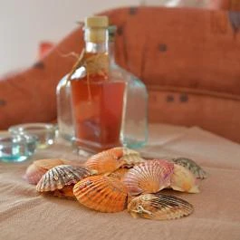 Jázmin Vendégház Pogány - Egyéb