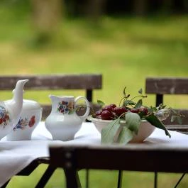 Jázmin Vendégház Pogány - Egyéb