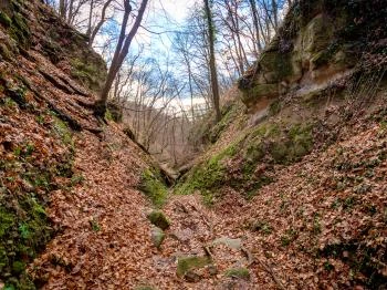 Holdvilág-árok Pomáz