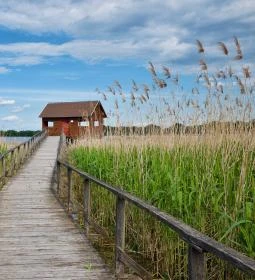 Tisza-tavi Vízi Sétány és Tanösvény