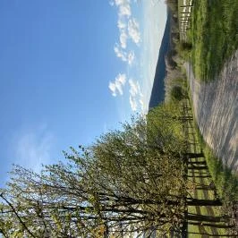 Hotel Szépalma Porva-Szépalmapuszta - Egyéb