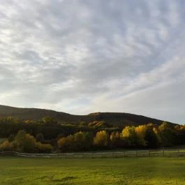Hotel Szépalma Porva-Szépalmapuszta - Egyéb