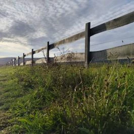 Hotel Szépalma Porva-Szépalmapuszta - Medence/kert