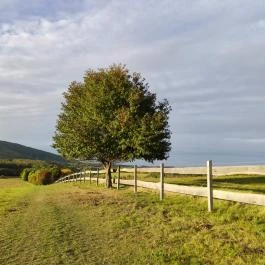 Hotel Szépalma Porva-Szépalmapuszta - Medence/kert